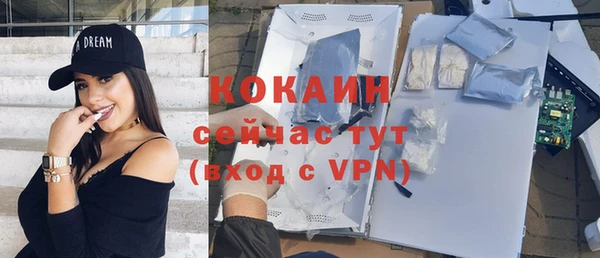 индика Нея