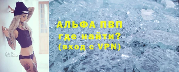 индика Нея